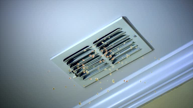 Best Commercial HVAC Duct Cleaning  in Park Center, CO