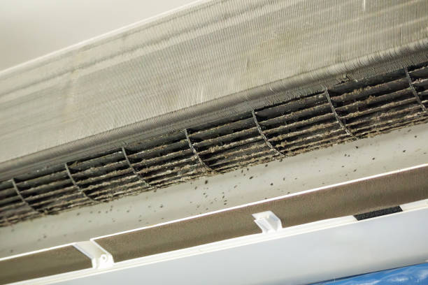 Best Local Air Duct Cleaning Services  in Park Center, CO